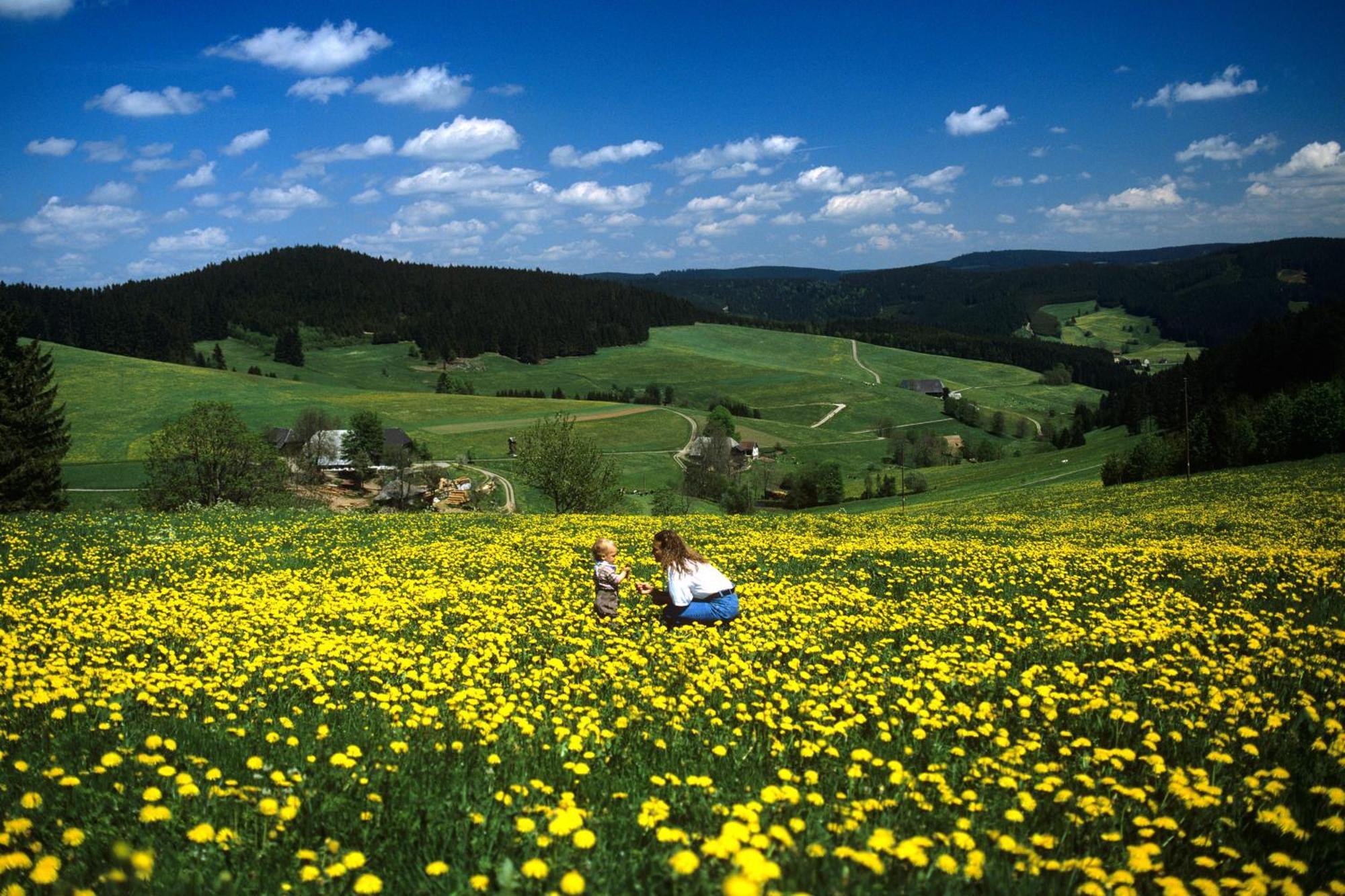 Hotel Waldeck Mit Restaurant "Florian'S" Feldberg  Exterior foto